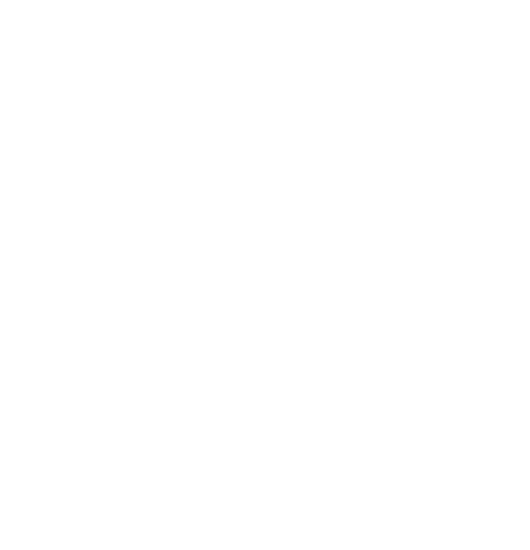 Schmitt